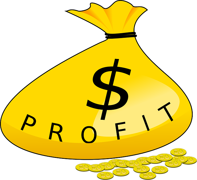 How to Choose a Profitable Niche as an Affiliate 4